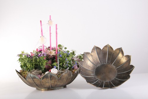 Pflanzschalen blume schale - pflanzschalen,